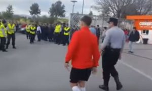 brandon_mallorca_aficionados  